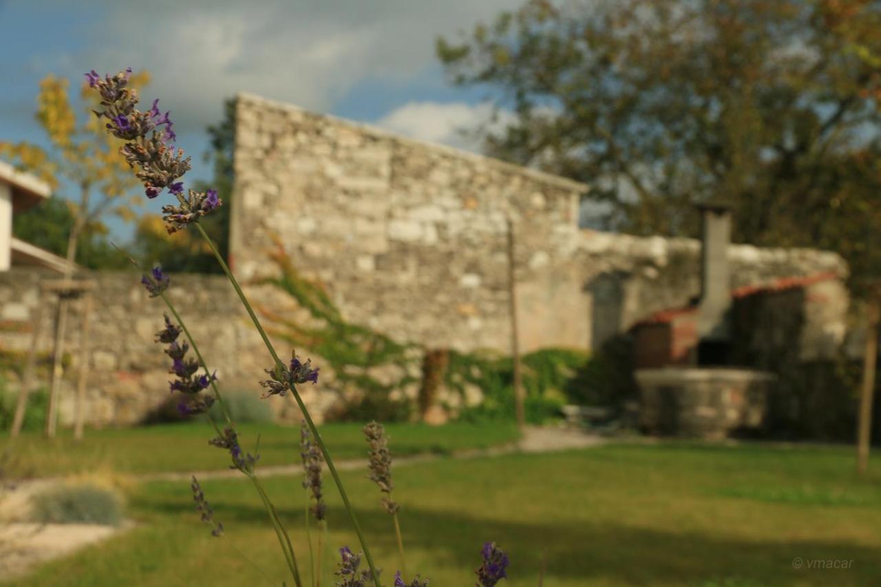 Hotel Casa Lenka Malchina Zewnętrze zdjęcie